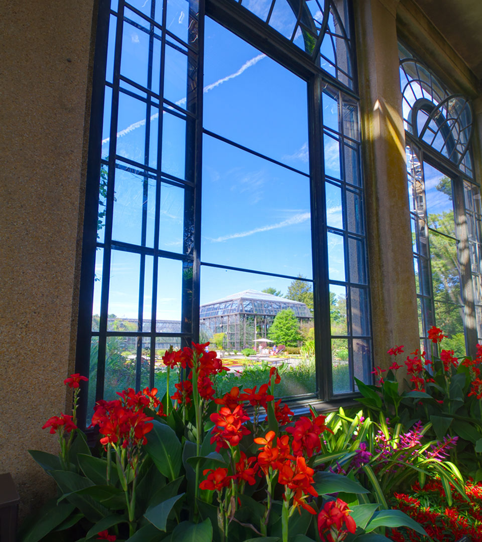 The Palm House as viewed from the main conservatory