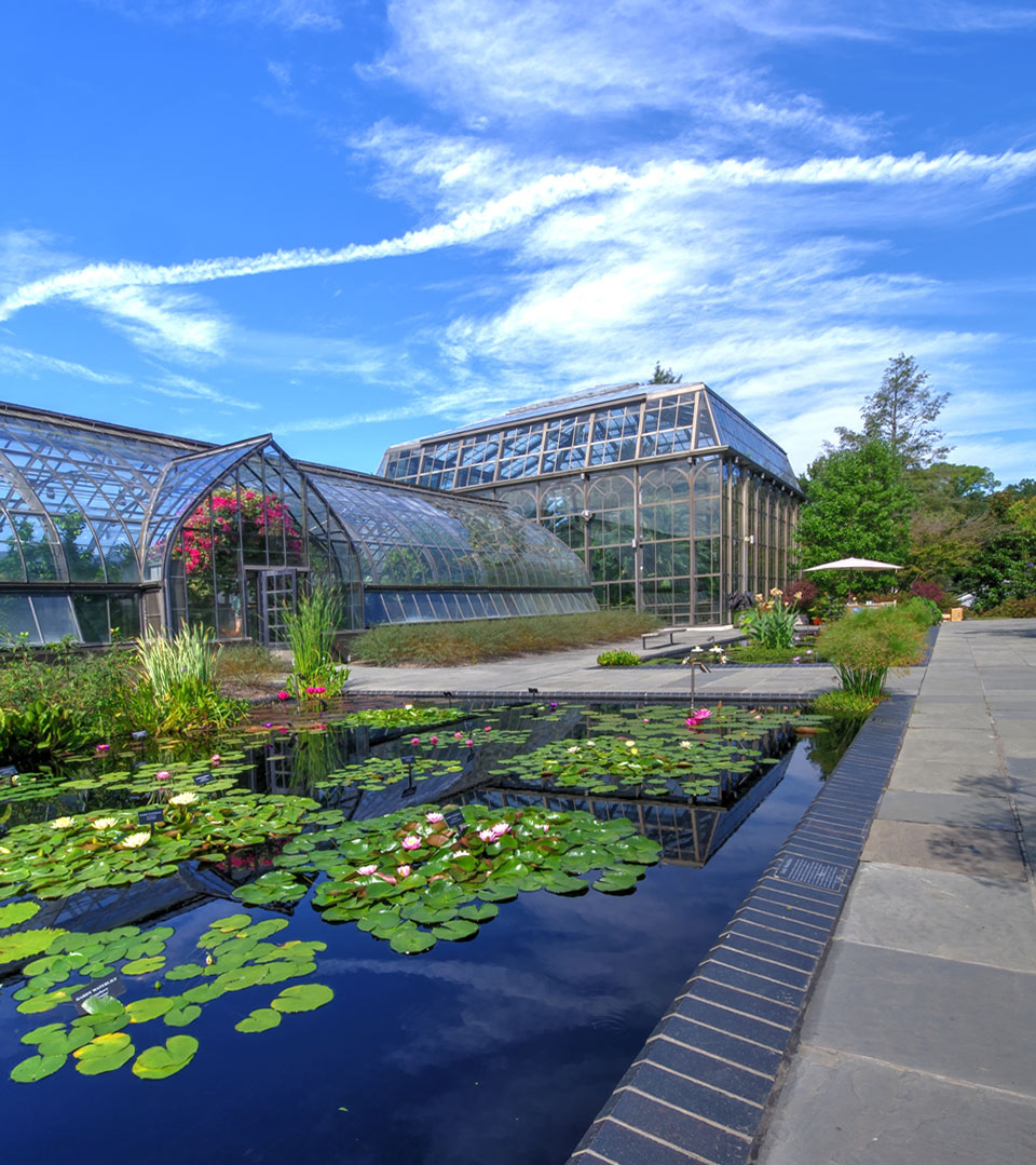 Palm House at Longwood Gardens