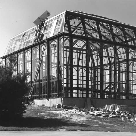 the Palm House at Longwood Gardens